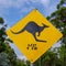 Kangaroo next 4km - closeup