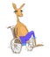 Kangaroo without one leg in jeans sits on a wheelchair