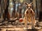 Kangaroo playing basketball with mini hoop