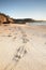 Kangaroo prints in the sand