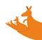 Kangaroo recursion. Lot of Australian kangaroos are sitting in t