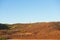Kangaroo remote outback landscape panorama