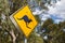 Kangaroo road sign