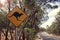 Kangaroo road sign in Victoria, Australia