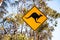 Kangaroo Sign