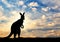 Kangaroo silhouette against a sky