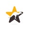 Kangaroo star shape concept logo Design