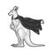 Kangaroo in superhero cloak sketch vector