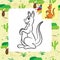 Kangaroo vector illustration. Coloring book