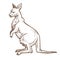 Kangaroo or wallaby isolated sketch, Australian animal with pouch