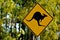 Kangaroo warning sign