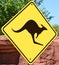 Kangaroo wildlife crossing warning