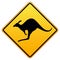 Kangaroos ahead