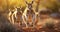 Kangaroos Celebrating Life in Australia\\\'s Desert Expanse. Generative AI