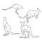 Kangaroos jump in graphics on a white background vector, kangaroo, vector sketch illustration