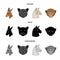 Kangaroos, llama, monkey, panther, Realistic animals set collection icons in cartoon,black,monochrome style vector