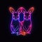 Kangaroos. Neon outline icon with a light effect