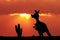 Kangaroos at sunset