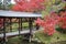 Kangetsu dai bridge in the garden kyoto