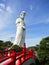 Kannon Statue in Byakui Daikannon Jigen-In temple, Takasaki