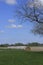 Kansas Country farm field with blue sky and green Alfalfa with a tree.