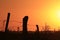 A Kansas farm fence at Sunset with silhouettes