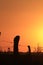 A Kansas farm fence at Sunset with silhouettes