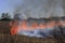 Kansas farm field burning to regenerate new life with flames and smoke out in the country.