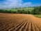 kansas farm wheat