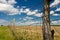 Kansas pasture fence, blue sky