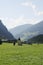 Kapellen weg in Grossarl valley in the Austrian Alps, Austria