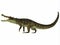 Kaprosuchus Profile