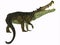 Kaprosuchus Reptile Tail