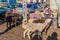 KARAKOL, KYRGYZSTAN - JULY 15, 2018: Sheep at the Sunday animal market in Karako