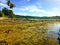 Karang Beureum beach background