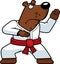 Karate Bear