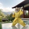 Karate Cat in a Yellow Kimono, Strong Funny Cat, Sensei Judo Master, Martial Arts Kitten