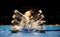Karate Championship, Japan, Demonstration Program, 10/11/2019