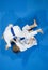 Karate do kids fight against blue tatami background. Top View. S