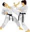 The Karate Fight Japanese Martial Art