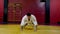 Karate fighter does push ups with hand claps in light gym