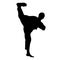 Karate fighter kicking silhouette