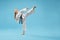 Karate girl in white kimono practicing martial arts.