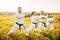 Karate group with master in white kimono