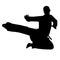 karate kata silhouette vector art