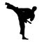 karate kata silhouette vector art