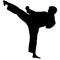 karate kata silhouette vector art