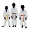 Karate kids with different color belt rank