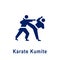 Karate Kumite pictogram, new sport icon