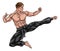 Karate Kung Fu Flying Kick Man Cartoon